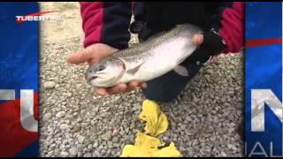 Italian Fishing TV  Tubertini  Tecniche di pesca  Trota Lago [upl. by Yllak]