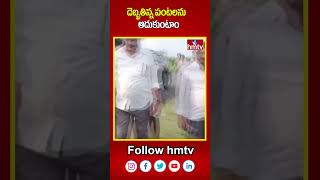 Markapuram MLA Kandula Narayana Reddy  దెబ్బతిన్న పంటలను ఆదుకుంటాం  hmtv [upl. by Idnem478]