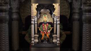 Shri Vitthal Rukimini Darshan 11 Nov shorts viralshorts trending short video pandharpur live [upl. by Enymzaj]