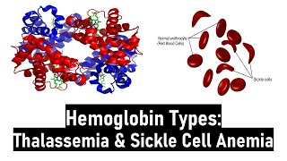 Hemoglobin Types Normal amp Abnormal Alpha amp Beta Thalassemia Sickle Cell Anemia HbS HbC and HbM [upl. by Tamah]