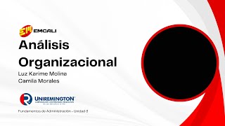 Video 1  Análisis Organizacional empresarial EMCALI [upl. by Eirene]