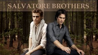 Stefan and Damons best brotherly moments [upl. by Mellisa]