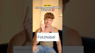 Ich errate eure Dialekt Wörter 🇦🇹⚠️ FOTZHOBEL [upl. by Robenia]