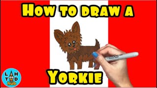 How to Draw a Yorkie [upl. by Mulcahy]