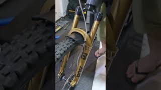 Fox 38 50th Anniversary limited edition foxsuspension fox fox38 suspension fork mtb bike [upl. by Auqenehs]