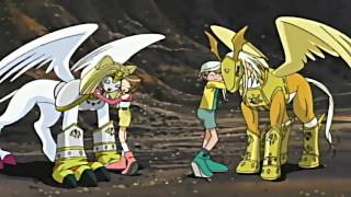 Patamon y Gatomon Armor digievolucionan en Pegasusmon y Nefertimon [upl. by Fahy]