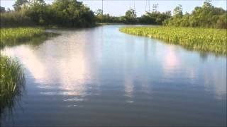 Gar fishing on the bayou [upl. by Ynatirb]