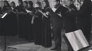 Miserere Mei  Allegri fragmento Ensamble Vocal Octoekos [upl. by Rives]