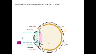 BIOPHYSIQUE Dioptrique Oculaire [upl. by Llenrag]