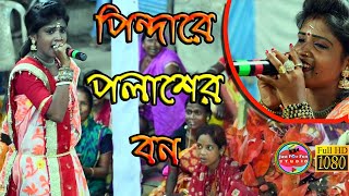 Pindare polasher bon  পিন্দারে পলাশের বন  Just For Fun Sdudio [upl. by Aleyam]