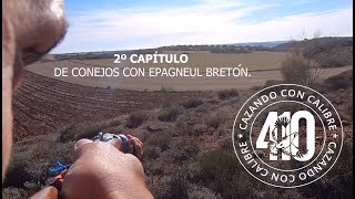 2º CAPÍTULO CAZANDO CONEJOS CON EPAGNEUL BRETÓN Y CALIBRE 410 [upl. by Eeleimaj]