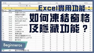 【Excel教學】辦公室必學的實用功能：如何凍結窗格及隱藏功能？｜Beginneros [upl. by Mindy]