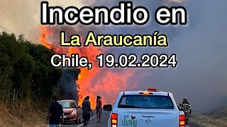 🔥INCENDIO🔥 Incendio en Chile 19022024 [upl. by Anuahsar]