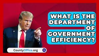 What Is the Department of Government Efficiency  CountyOfficeorg [upl. by Eimarrej534]