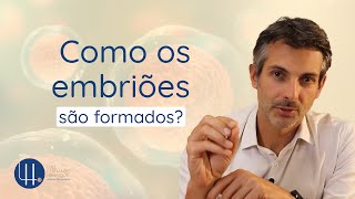 Como os embriões são formados [upl. by Ydnagrub]