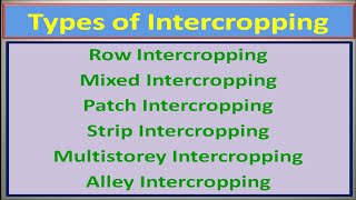 Types of Intercropping [upl. by Bigner]