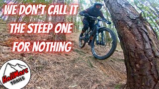 Steep MTB Trails  Eastridge  Group Ride [upl. by Marlette]