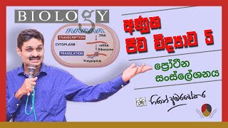 AL Molecular Biology  5 Protein synthesis ප්‍රෝටීන සංශ්ලේශනය [upl. by Eanad]