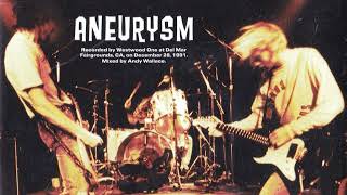 Nirvana Aneurysm Backing Track For Guitar With Vocals [upl. by Amandie]