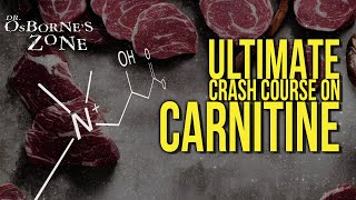 Ultimate Crash Course on Carnitine  Dr Osbornes Zone [upl. by Yengac243]