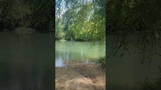 81124 Beautiful day at the river in Lobelville TN [upl. by Akamahs]