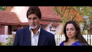 Baghban full movie 2003  AmitabhHemaSalmanAman  Baghban full movie in Hindi Review amp facts [upl. by Antonin]