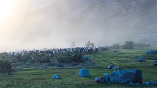 ARREO DE CHIVOS DESDE LAS YEGUAS ASTA EL CAMPO DE SATURIO DENTRO DEL CAJÓN MELADO 🇨🇱🏔️🙌 [upl. by Treblihp101]