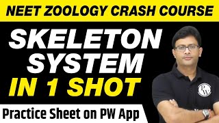 Skeleton System in 1 Shot  All Theory Tricks amp PYQs Covered  Class 11  NEET [upl. by Allista621]