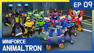 Miniforce Animaltron 🦁Ep9 Miniforce Lion Combine [upl. by Atinid]