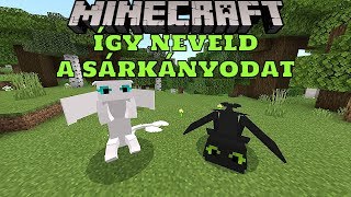 Minecraft Így Neveld A Sárkányodat  AddOn Bemutató [upl. by Aeki]