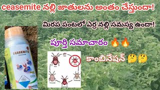 ceasemite insecticide uses in Telugu  ceasemite insecticide  erra nalli nivarana in mirchi  nalli [upl. by Auhsaj816]