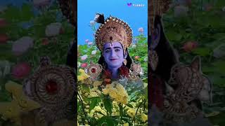 Krishna motivational motivation quotes viralvideo [upl. by Schick]