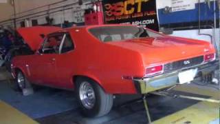 dyno 383 Nova [upl. by Jasmin748]