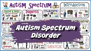 Effective Speech Therapy for Children with Autism Video 2 [upl. by Mira561]