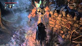 Bloodborne™  Grotesque Enemies The Fly Garden of Eyes [upl. by Whitcher893]