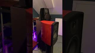 Aperion Verus 3 concert Aperion E2 Quad 34 Arylic S10 martirio amplifier hifi aperionaudio [upl. by Eeldivad]