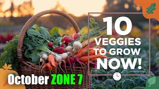 10 WarmSeason Vegetables to Plant in October for a Thriving Zone 7b Garden [upl. by Yahsram]