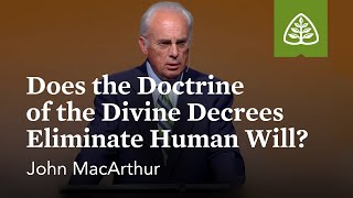 John MacArthur Does the Doctrine of the Divine Decrees Eliminate Human Will [upl. by Deden]