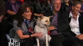 Dr Phil and Robin introduce a special guest  their pup Maggie [upl. by Acino]