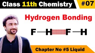 Hydrogen bonding class 11 chemistry  Examples and explanation of hydrogen bonding [upl. by Annig]