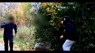 Monkey Scare Prank [upl. by Jerome557]