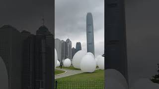 Huge white eggs exhibit in admiralty parkshorts [upl. by Shulins553]