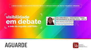 Visibilidade em Debate  Atos homofóbicos e transfóbicos formas contemporâneas de racismo social [upl. by Asilef]