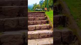 Haggala national park01 video viralvideo [upl. by Baryram]