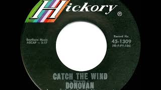 1965 HITS ARCHIVE Catch The Wind  Donovan US hit 45 single version [upl. by Aikimat184]