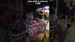 Tulsi vivah trending trend shorts tulsi tulsivivah thakarlover thakar youtube village [upl. by Matland805]