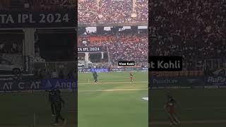 The stare in the end viratkohli rcb t20 t20worldcup live shortsfeed youtubeshorts [upl. by Ernald]