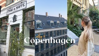 COPENHAGEN DENMARK  TRAVEL VLOG  Sightseeing Air BnB Tour amp Yummy food Pt 1 [upl. by Haland]