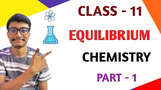 Equilibrium Chemistry Class 11 [upl. by Washington]