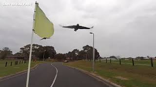 Magpies unleash swooping spree on postman [upl. by Veradia]